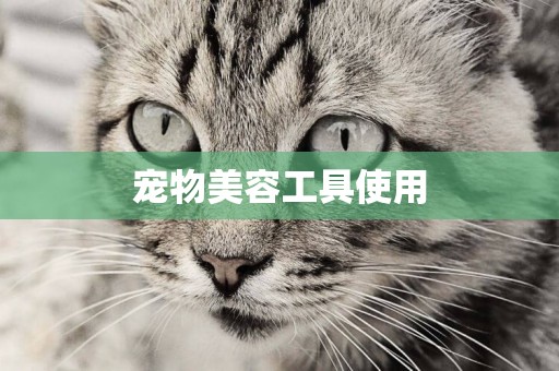 寵物美容工具使用