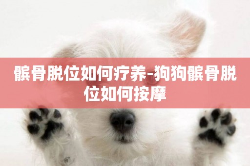 髕骨脫位如何療養-狗狗髕骨脫位如何按摩