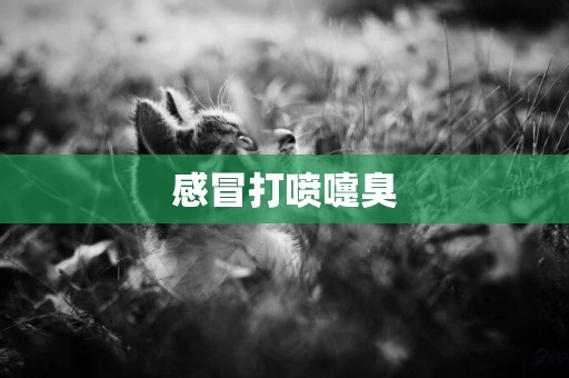 感冒打噴嚏臭