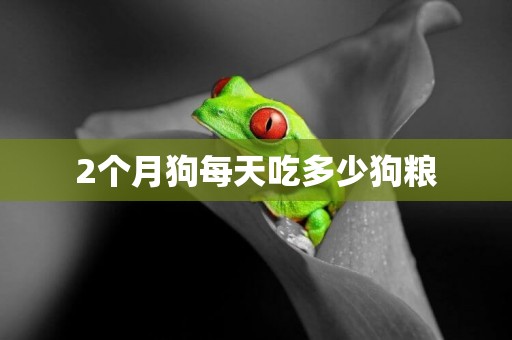 2個月狗每天吃多少狗糧