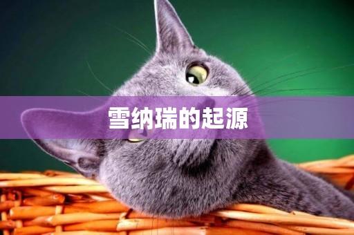 雪納瑞的起源