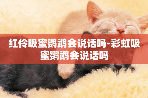 紅伶吸蜜鸚鵡會說話嗎-彩虹吸蜜鸚鵡會說話嗎