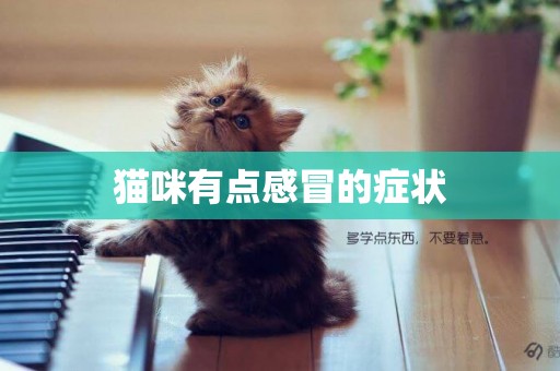 貓咪有點感冒的癥狀