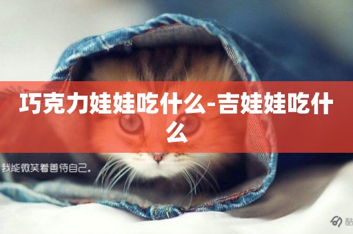 巧克力娃娃吃什么-吉娃娃吃什么