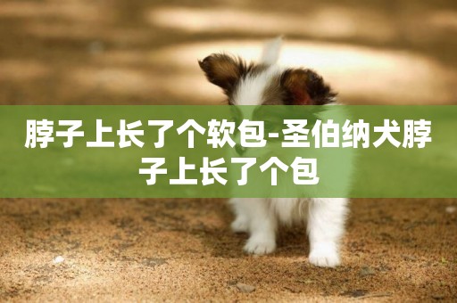 脖子上長了個軟包-圣伯納犬脖子上長了個包