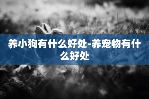 養小狗有什么好處-養寵物有什么好處