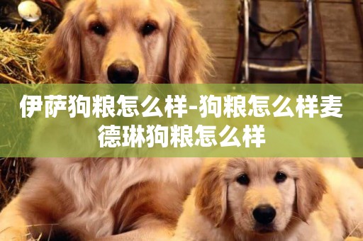 伊薩狗糧怎么樣-狗糧怎么樣麥德琳狗糧怎么樣