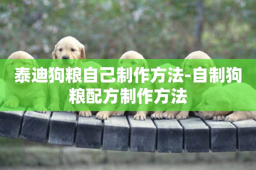 泰迪狗糧自己制作方法-自制狗糧配方制作方法