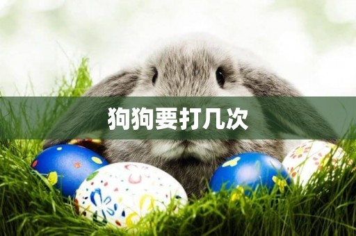 狗狗要打幾次