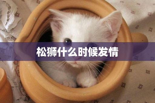 松獅什么時候發情