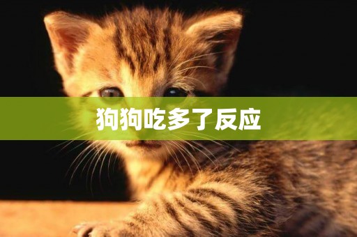 狗狗吃多了反應