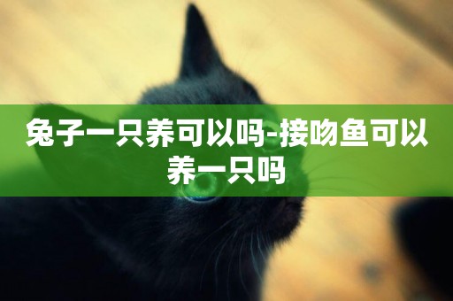 兔子一只養可以嗎-接吻魚可以養一只嗎