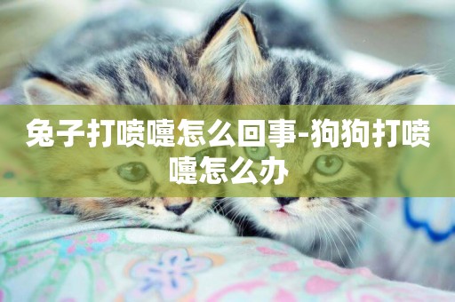 兔子打噴嚏怎么回事-狗狗打噴嚏怎么辦