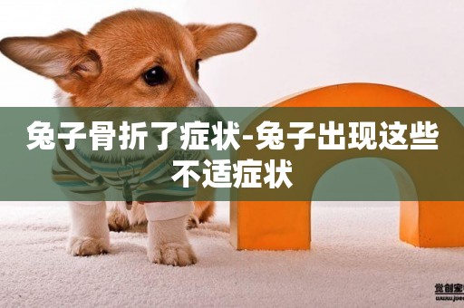 兔子骨折了癥狀-兔子出現這些不適癥狀