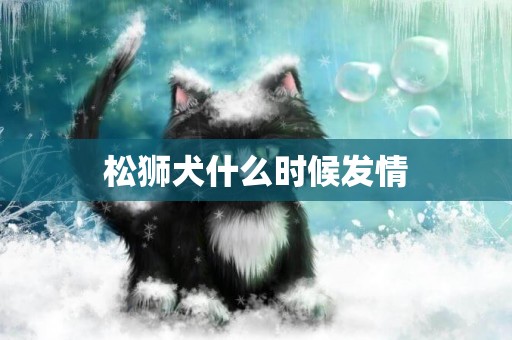 松獅犬什么時候發情