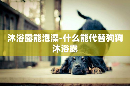 沐浴露能泡澡-什么能代替狗狗沐浴露