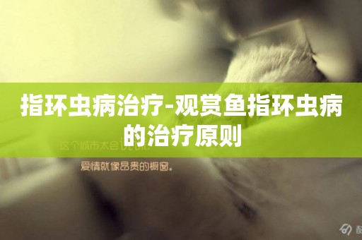 指環蟲病治療-觀賞魚指環蟲病的治療原則