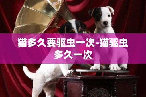 貓多久要驅蟲一次-貓驅蟲多久一次