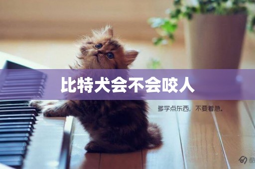 比特犬會不會咬人