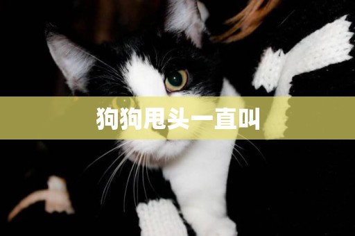 狗狗甩頭一直叫