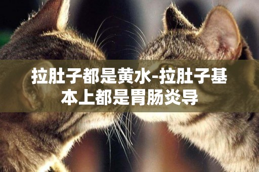 拉肚子都是黃水-拉肚子基本上都是胃腸炎導