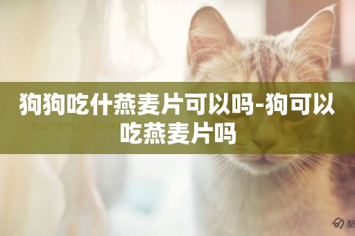 狗狗吃什燕麥片可以嗎-狗可以吃燕麥片嗎