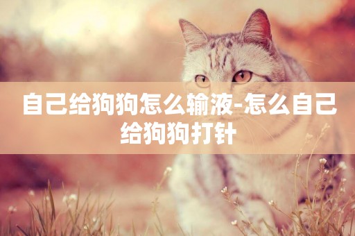 自己給狗狗怎么輸液-怎么自己給狗狗打針