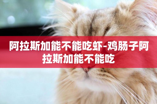 阿拉斯加能不能吃蝦-雞腸子阿拉斯加能不能吃