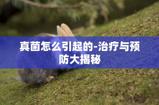 真菌怎么引起的-治療與預防大揭秘