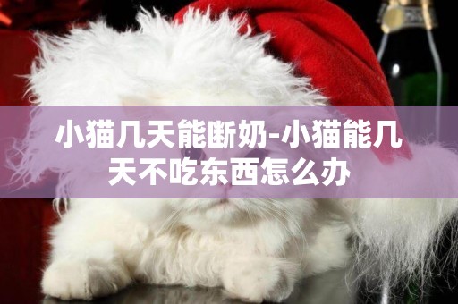 小貓幾天能斷奶-小貓能幾天不吃東西怎么辦
