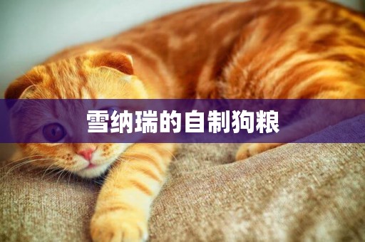 雪納瑞的自制狗糧