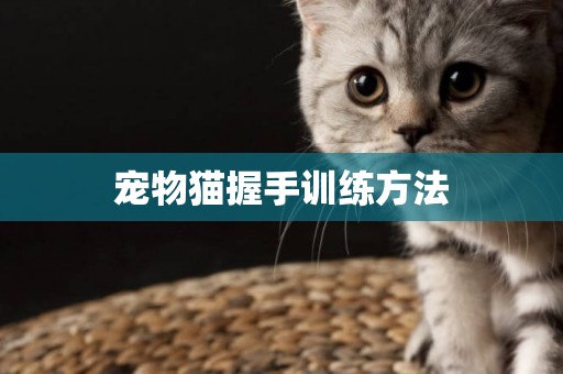 寵物貓握手訓練方法