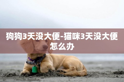 狗狗3天沒大便-貓咪3天沒大便怎么辦