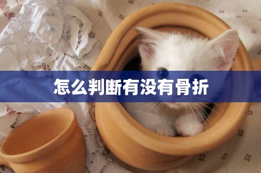 怎么判斷有沒有骨折