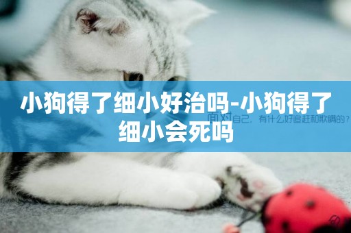 小狗得了細小好治嗎-小狗得了細小會死嗎