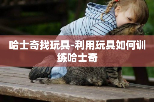 哈士奇找玩具-利用玩具如何訓練哈士奇