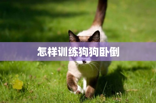 怎樣訓練狗狗臥倒