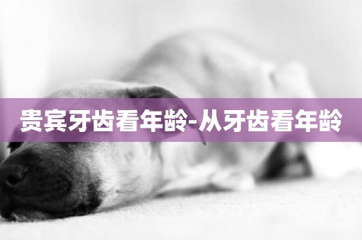 貴賓牙齒看年齡-從牙齒看年齡