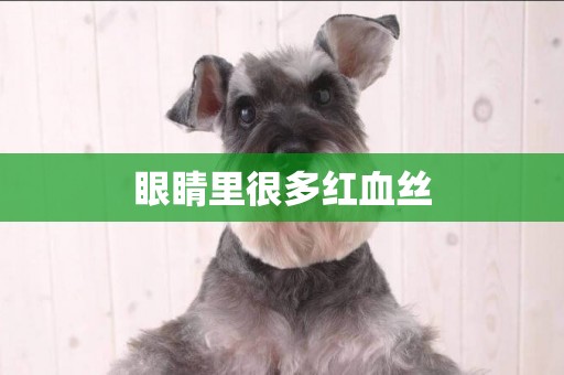 眼睛里很多紅血絲