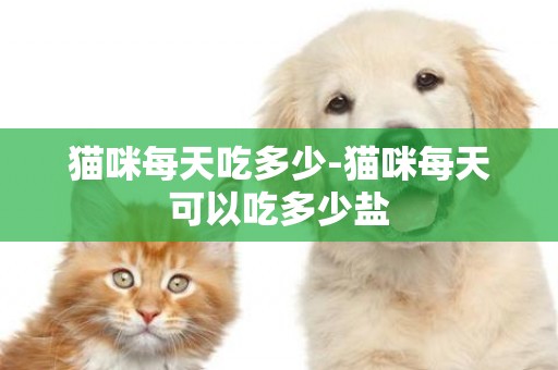 貓咪每天吃多少-貓咪每天可以吃多少鹽