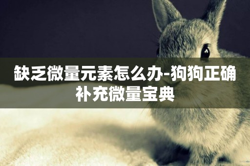 缺乏微量元素怎么辦-狗狗正確補充微量寶典