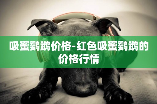 吸蜜鸚鵡價格-紅色吸蜜鸚鵡的價格行情