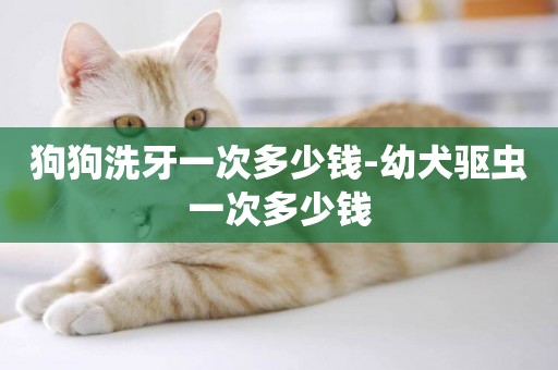 狗狗洗牙一次多少錢-幼犬驅蟲一次多少錢
