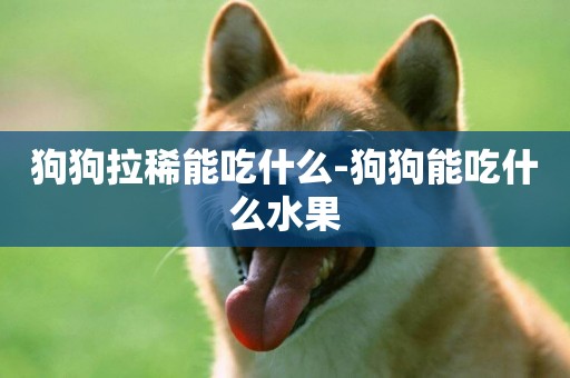 狗狗拉稀能吃什么-狗狗能吃什么水果