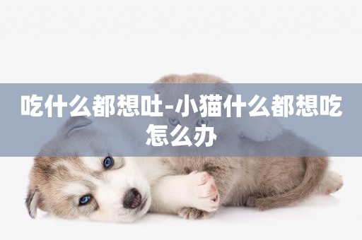 吃什么都想吐-小貓什么都想吃怎么辦