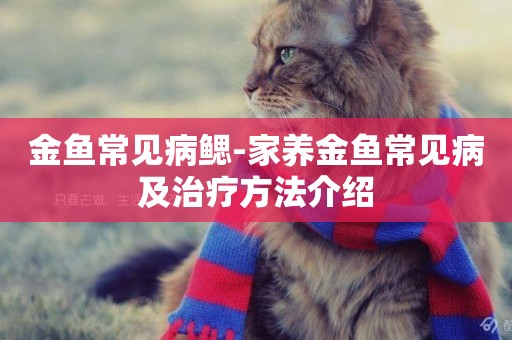 金魚常見病鰓-家養金魚常見病及治療方法介紹