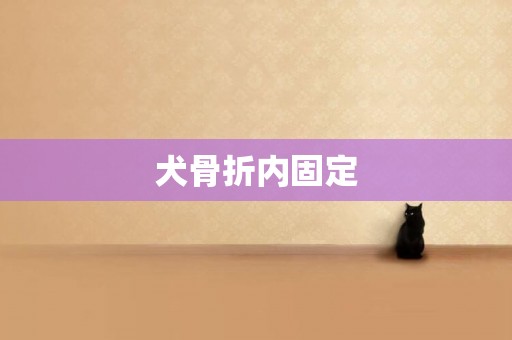 犬骨折內固定