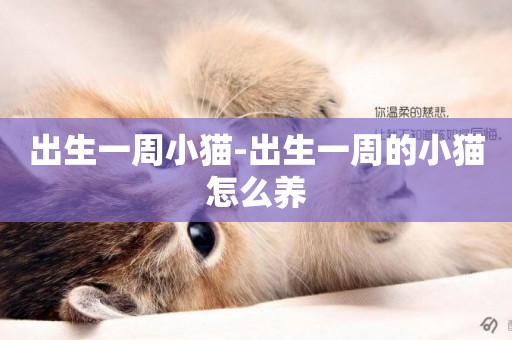 出生一周小貓-出生一周的小貓怎么養