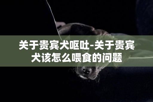 關于貴賓犬嘔吐-關于貴賓犬該怎么喂食的問題