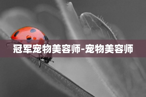 冠軍寵物美容師-寵物美容師